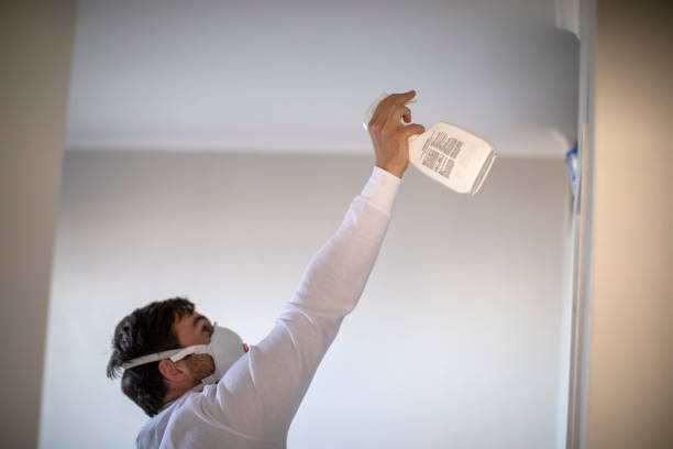Best Mold Cleaning Services  in Whitinsville, MA